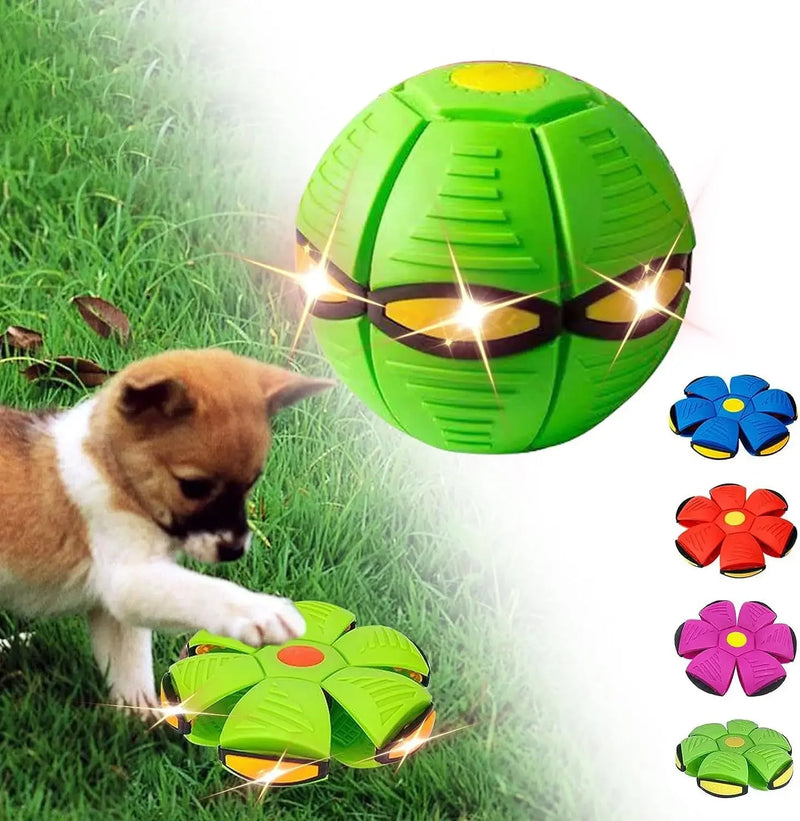 Bola Mágica UFO para Pets - Brinquedo de Treinamento e Interação para Cães