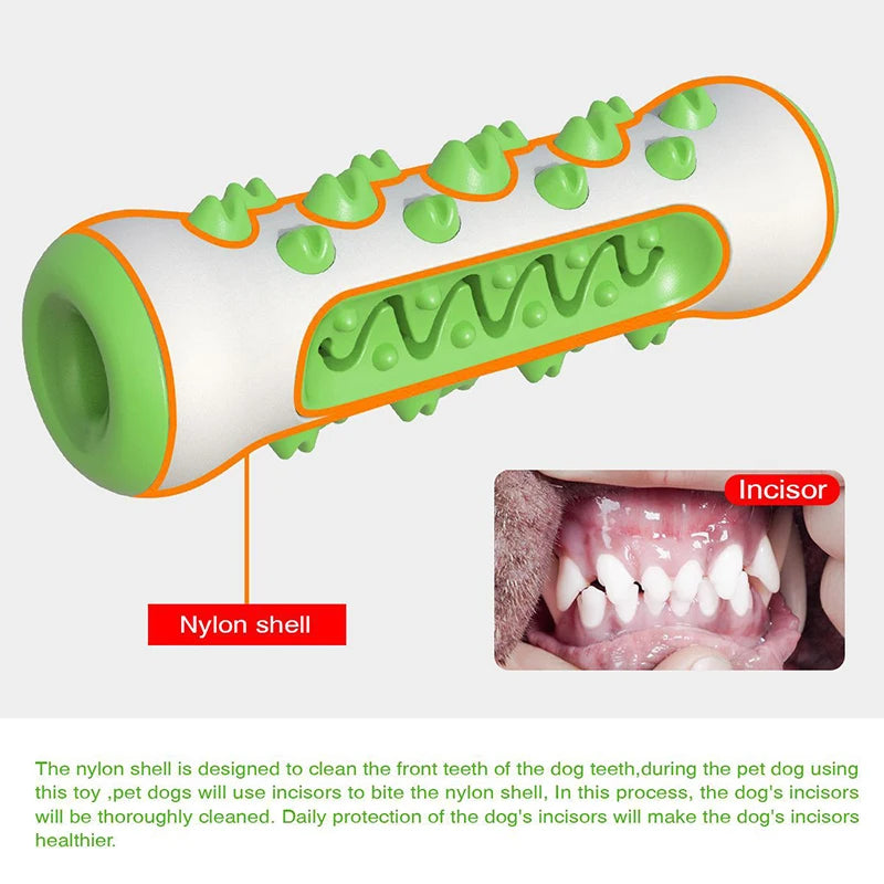 Brinquedo de Mastigar para Cães - Escova de Dentes de Borracha