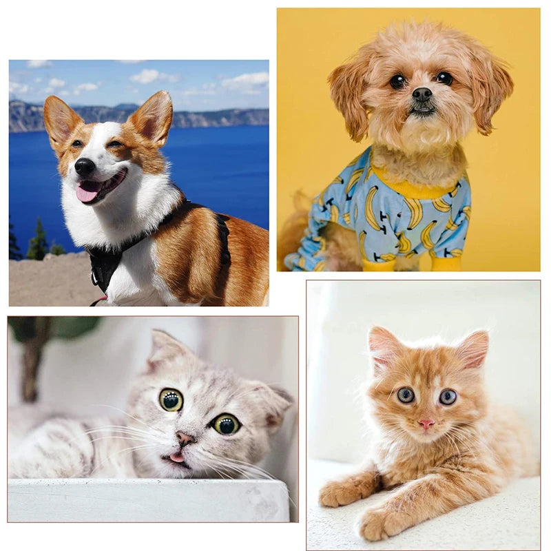 Pets - Dupla Face para Cães, Gatos e Animais Pequenos