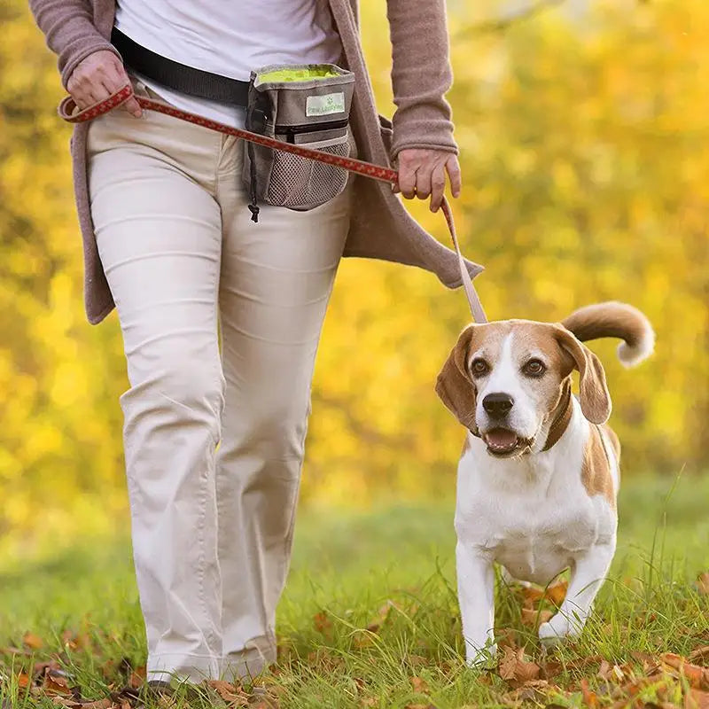 BagPet - Mochila de Treinamento para Cães