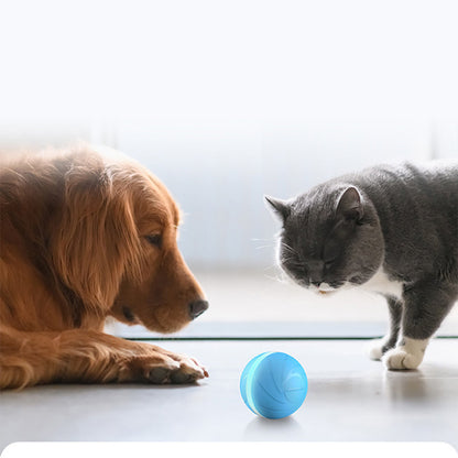 Automatic Crazy Jumping Ball Pet Accompanying Toy