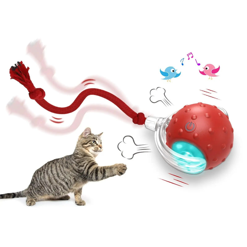 Interactive Cat Toy Ball Super Drive Cat Rolling Balls